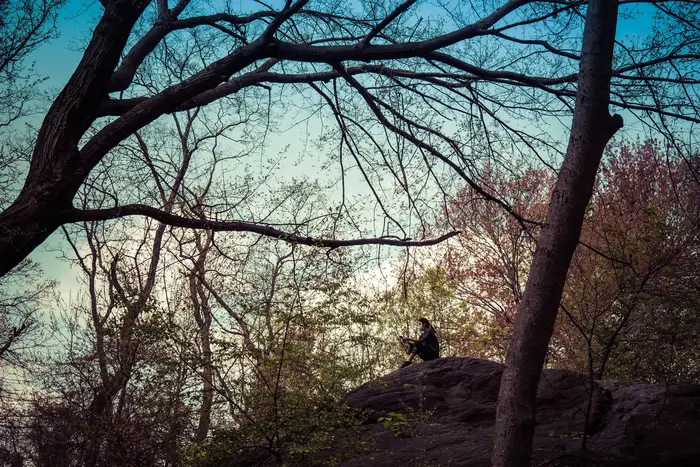 A photo of a person sitting on a rock in Central Park